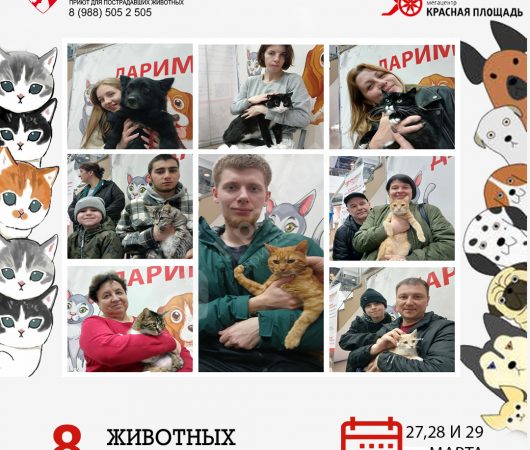 Спешим поделиться итогами выставки в Мегацентре 